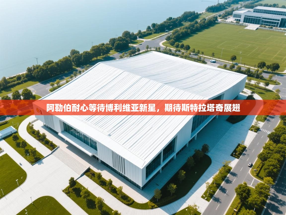 阿勒伯耐心等待博利维亚新星，期待斯特拉塔奇展翅  第2张