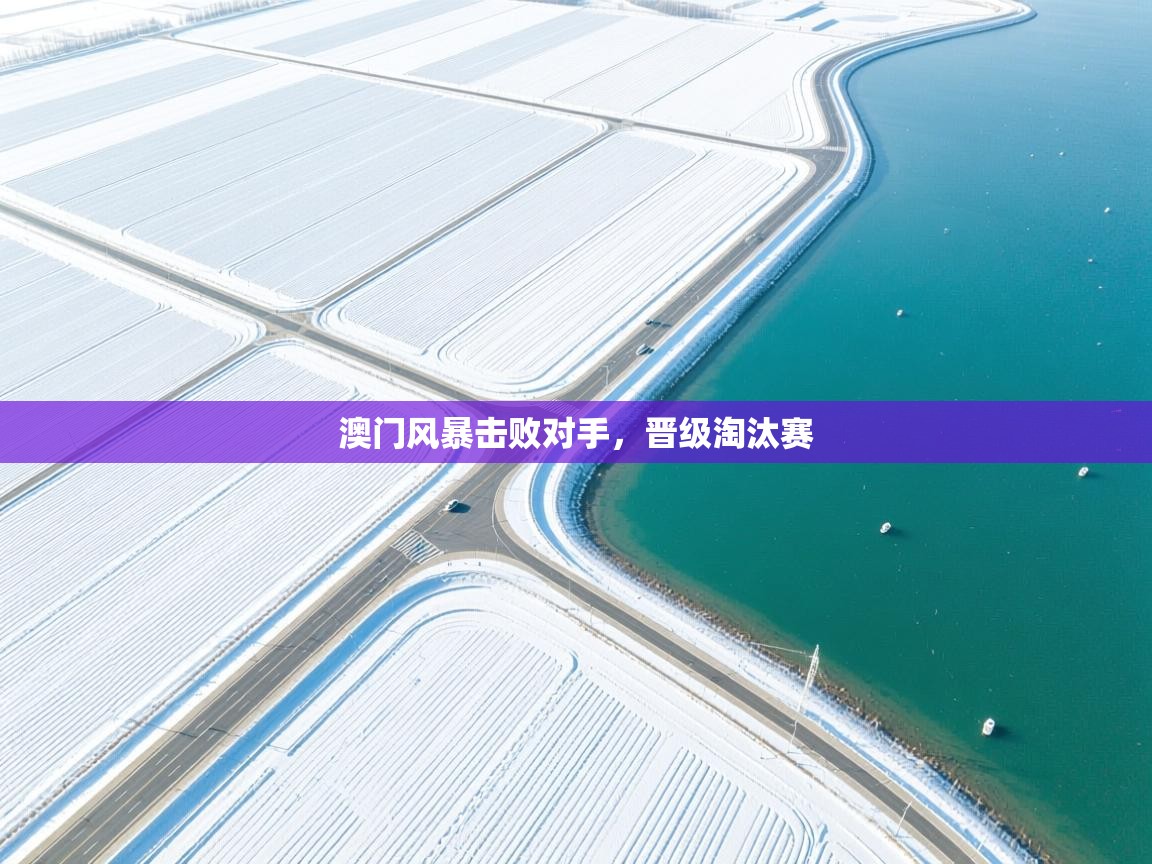 澳门风暴击败对手，晋级淘汰赛  第1张