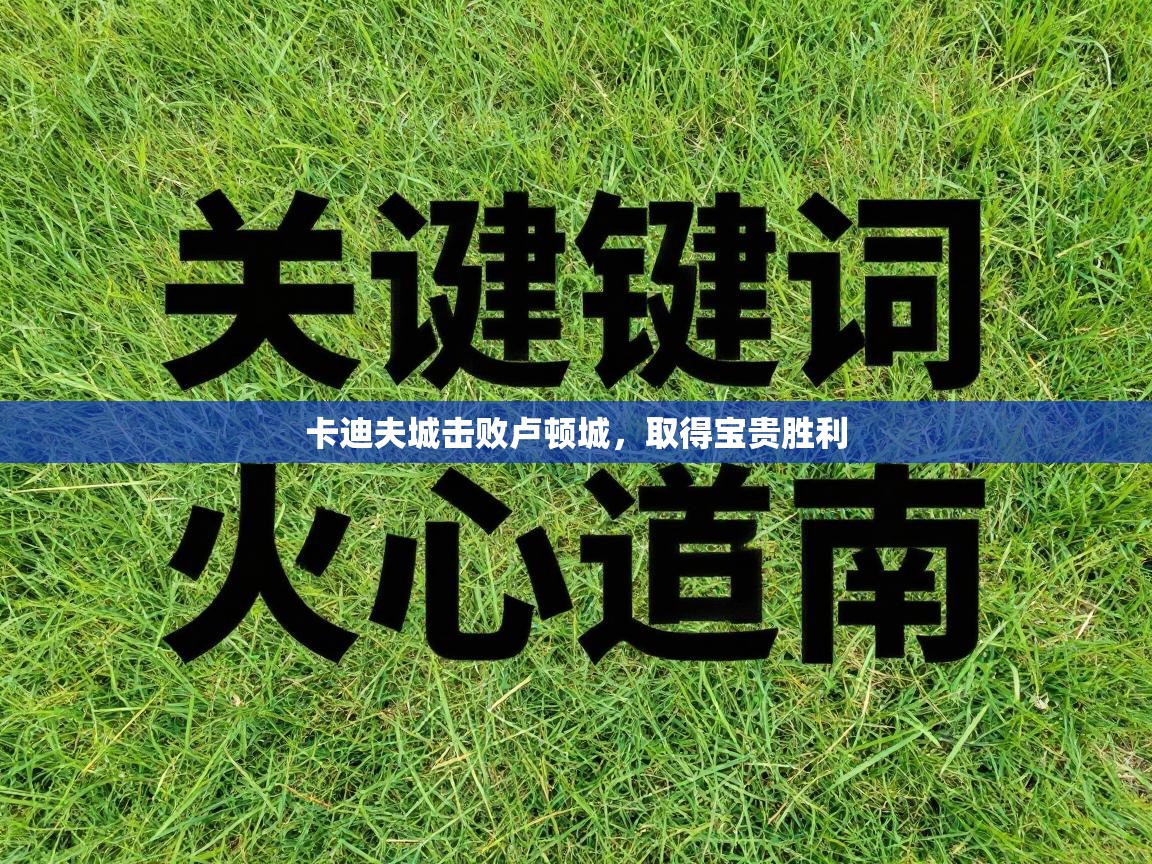 卡迪夫城击败卢顿城，取得宝贵胜利  第2张